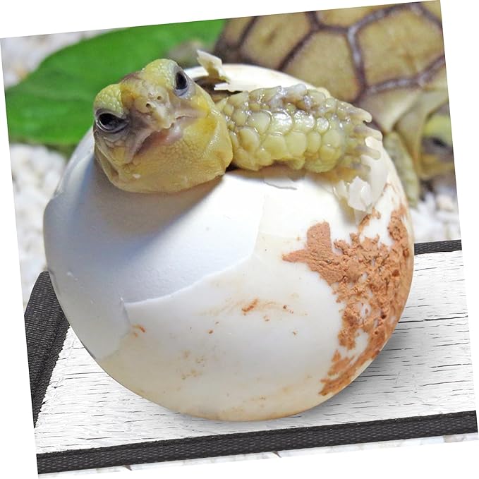 Almohadilla Térmica para Reptiles 30x30cm Reflective Film miniatura 5
