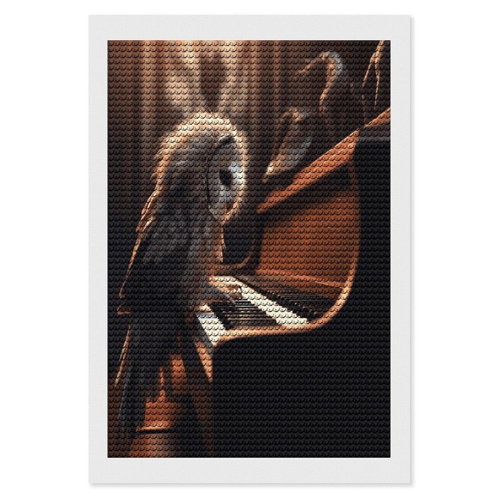 JTREHY Owl Plays Piano Diamond Art Kits Personalized DIY Round Diamond Painting Kits for Beginner Full Drill Diamonds Dots Paintings for Adults Gem Art Crafts Home Decor