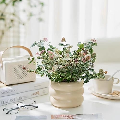 Miniatura 4 de Maceta de cerámica para interiores, maceta de 4.5 pulgadas con orificio de drenaje, maceta de cerámica con diseño de burbujas pequeñas para