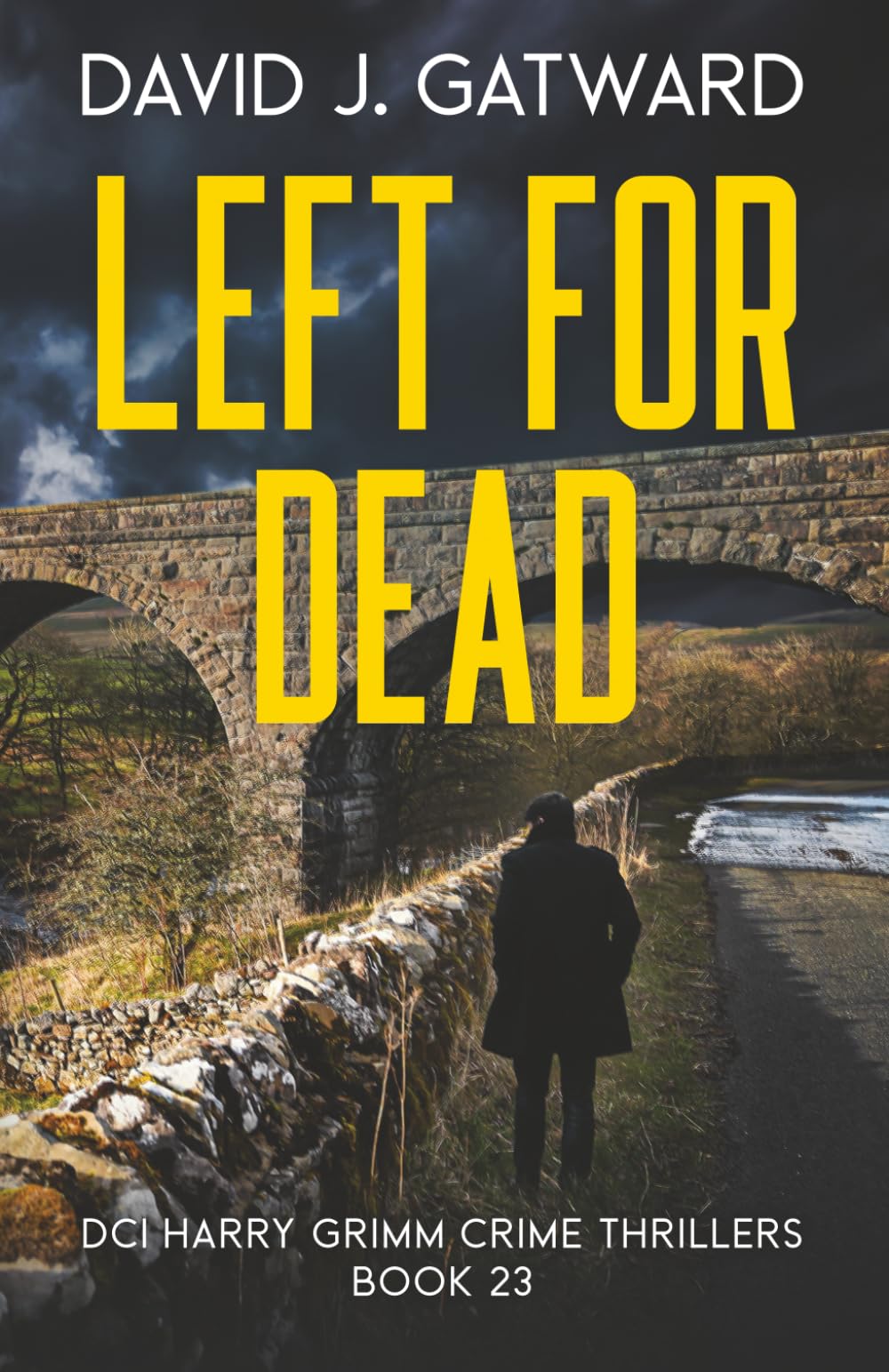 Left for Dead: A Yorkshire Murder Mystery (DCI Harry Grimm Crime Thrillers)