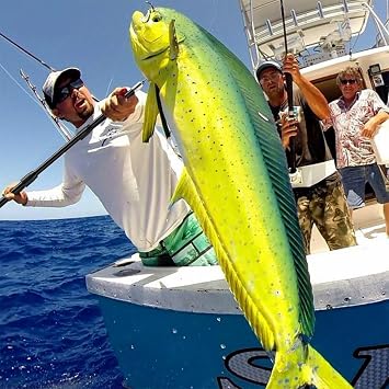 SANLIKE Telescopic Fish Gaff, Stainless Steel Retractable Telescopic Pole with Sea Fishing Hook Tackle for Saltwater Offshore Ice Tool
