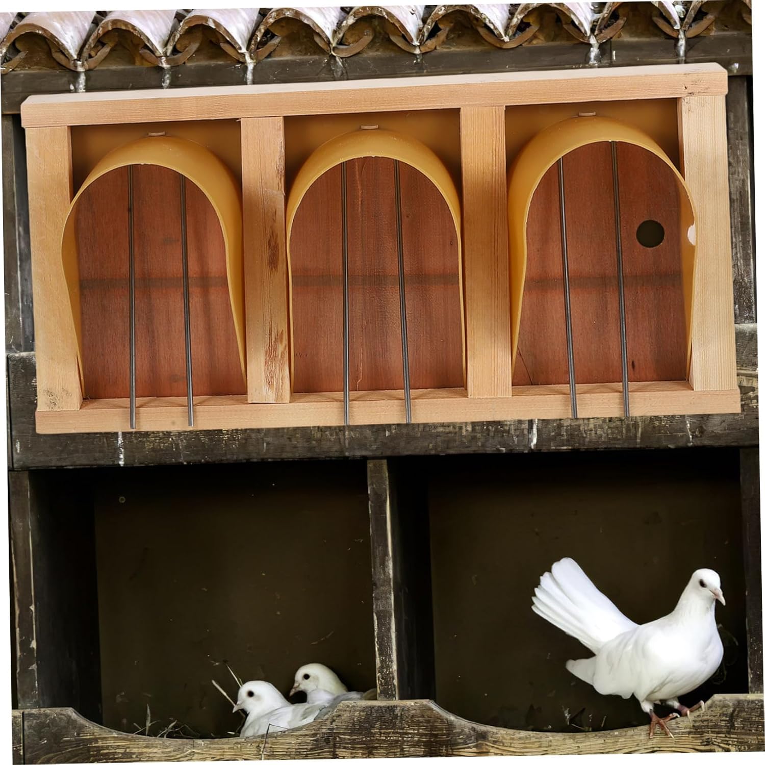 European Bird Cage Door for Pigeon Racing Easy Install Bird House Entrance Replacement Elegant European Design Pigeon Accessories