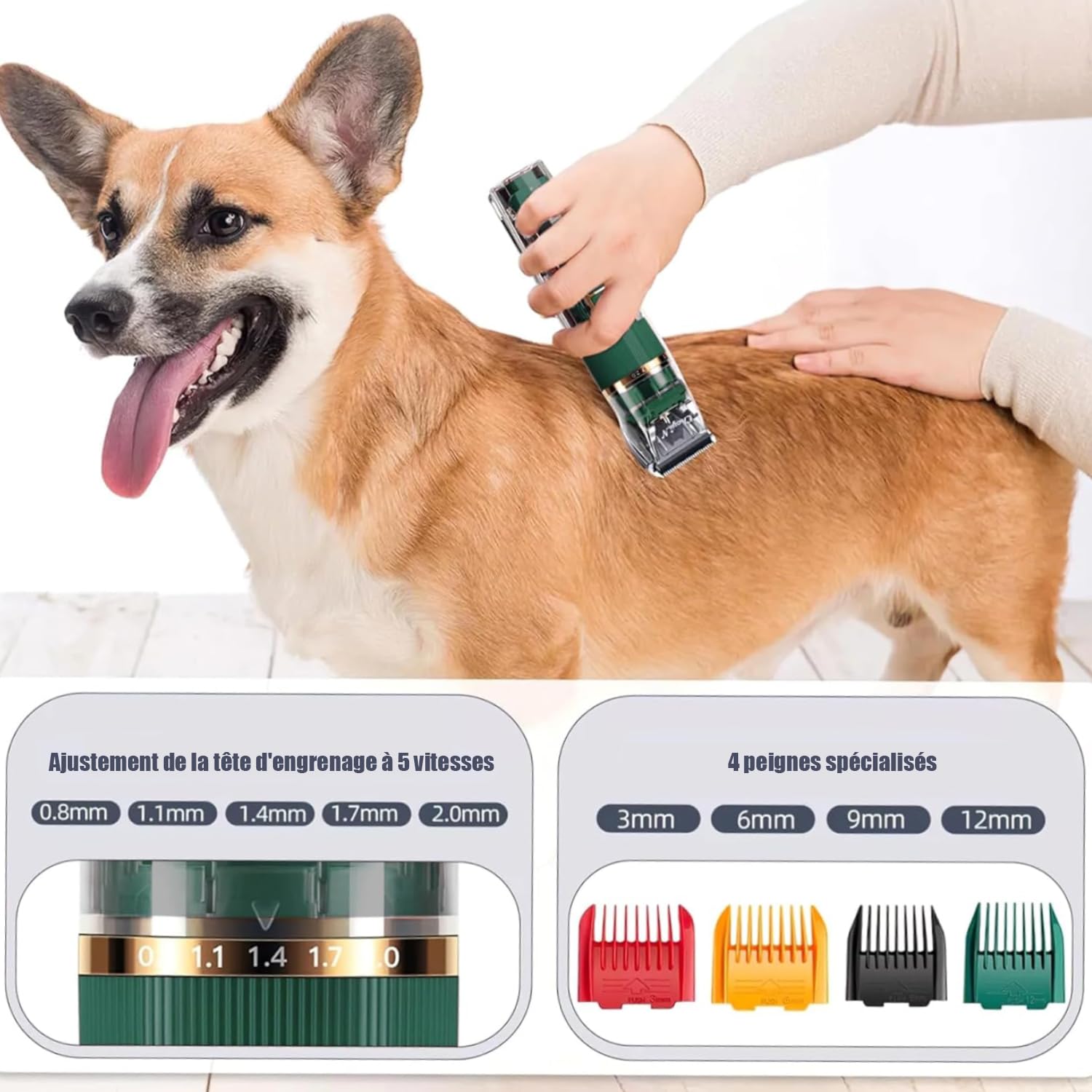Tondeuse Professionnelle pour Chien et Chat, avec Écran LED, 4 Peignes de Limite, 3 Vitesses, Étanche IPX7 - pour Poils Longs et Noeud (Vert)