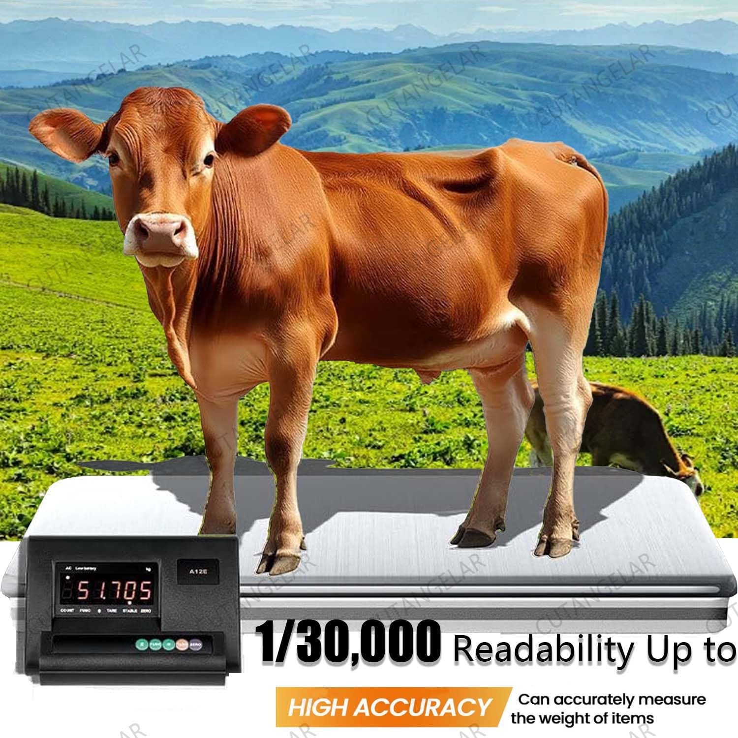 Viehwaage, Rinderwaage, Schweinewaage, 5000 kg/11023 lbs maximale Tragkraft, Hochpräzises Viehwaagen-Set, Bodenwaage, mit hellem LED-Display, Tierwaagen-Set für Tiere/Kühe/Schweine