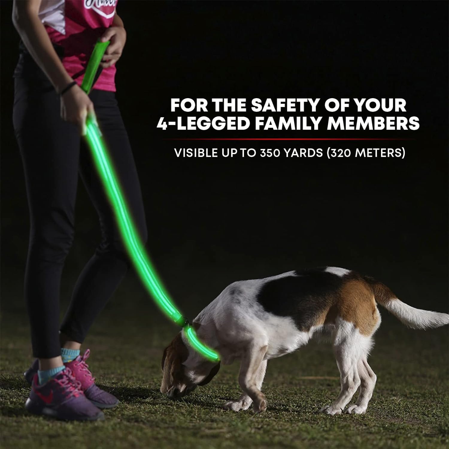 Illumiseen - Correa LED para Perro, Recargable por USB, tu Perro será más Visible y Seguro