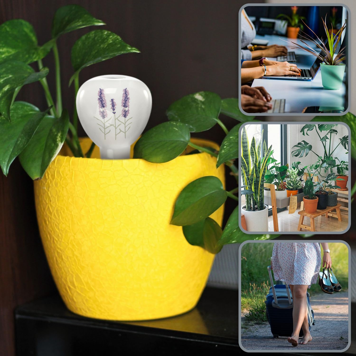 Com-four® 3X Arrosage Automatique Pour Plantes D'intérieur