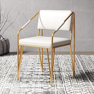 DJFIOSD Sedie Moderne in Ferro Battuto, Semplice Metallo Poltrone, PU in Pelle Sedie da Pranzo, Sedie Schienale per Ristoranti caffè E Camere da Letto,C