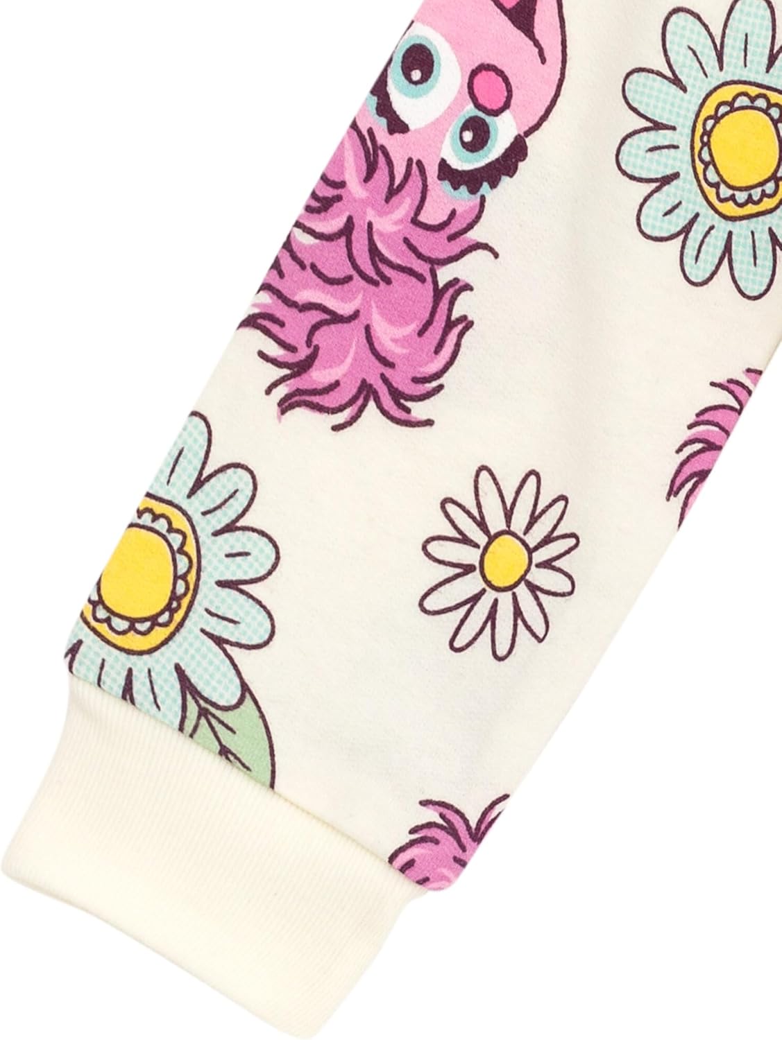 Sesame Street Sweatshirt Infant to Little Kid Sizes (12 Months - 7-8) - Image 4