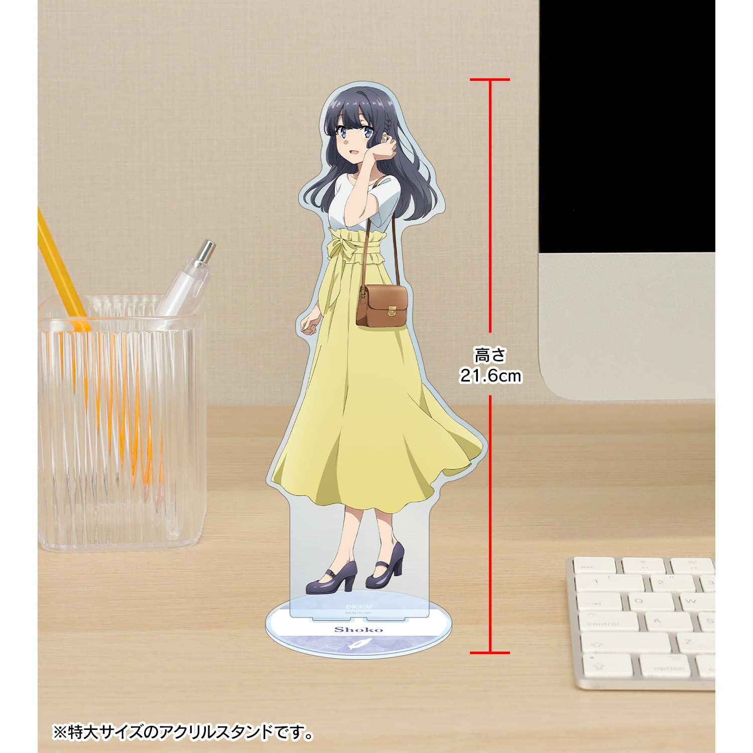 Amazon.co.jp: 青春ブタ野郎はバニーガール先輩の夢を見ない 描き