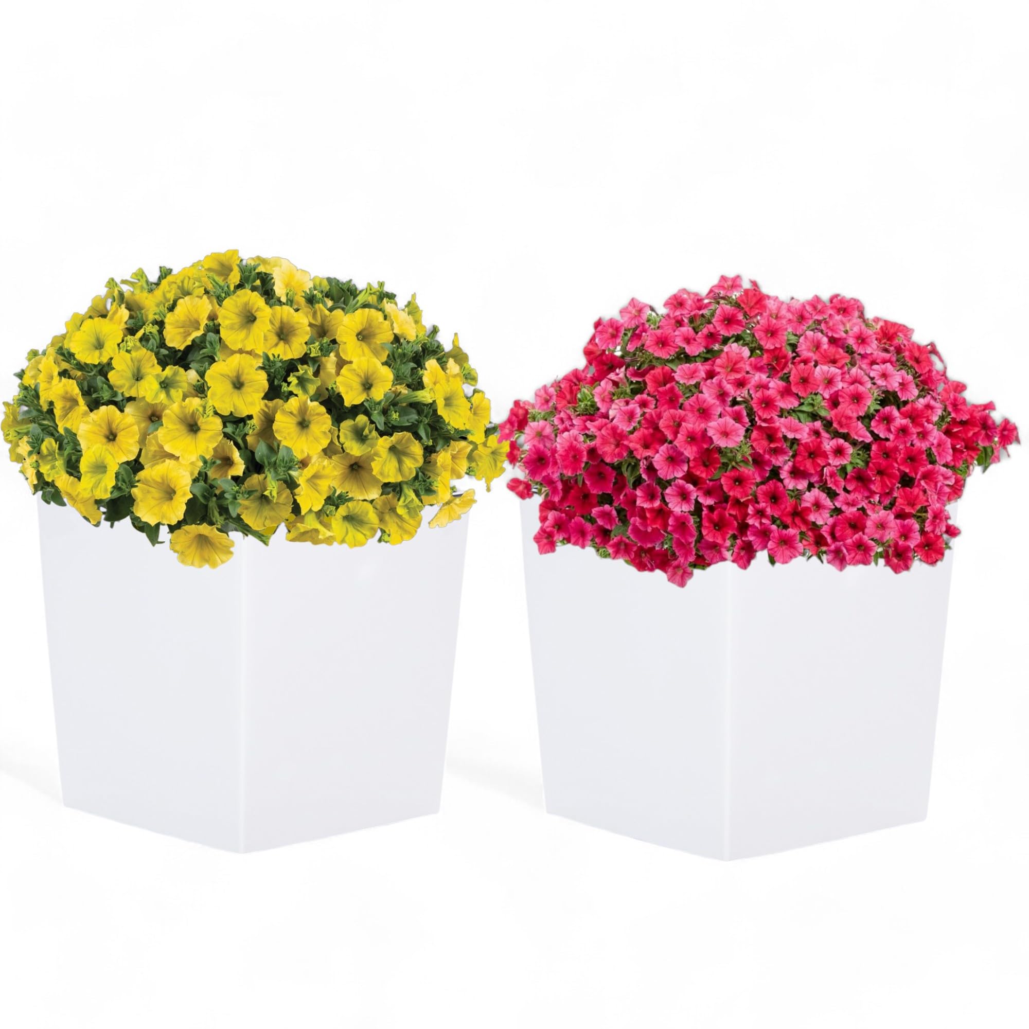 Overleve Makulert Nevne Pots De Fleurs Jardiland Lufte Data Prognose