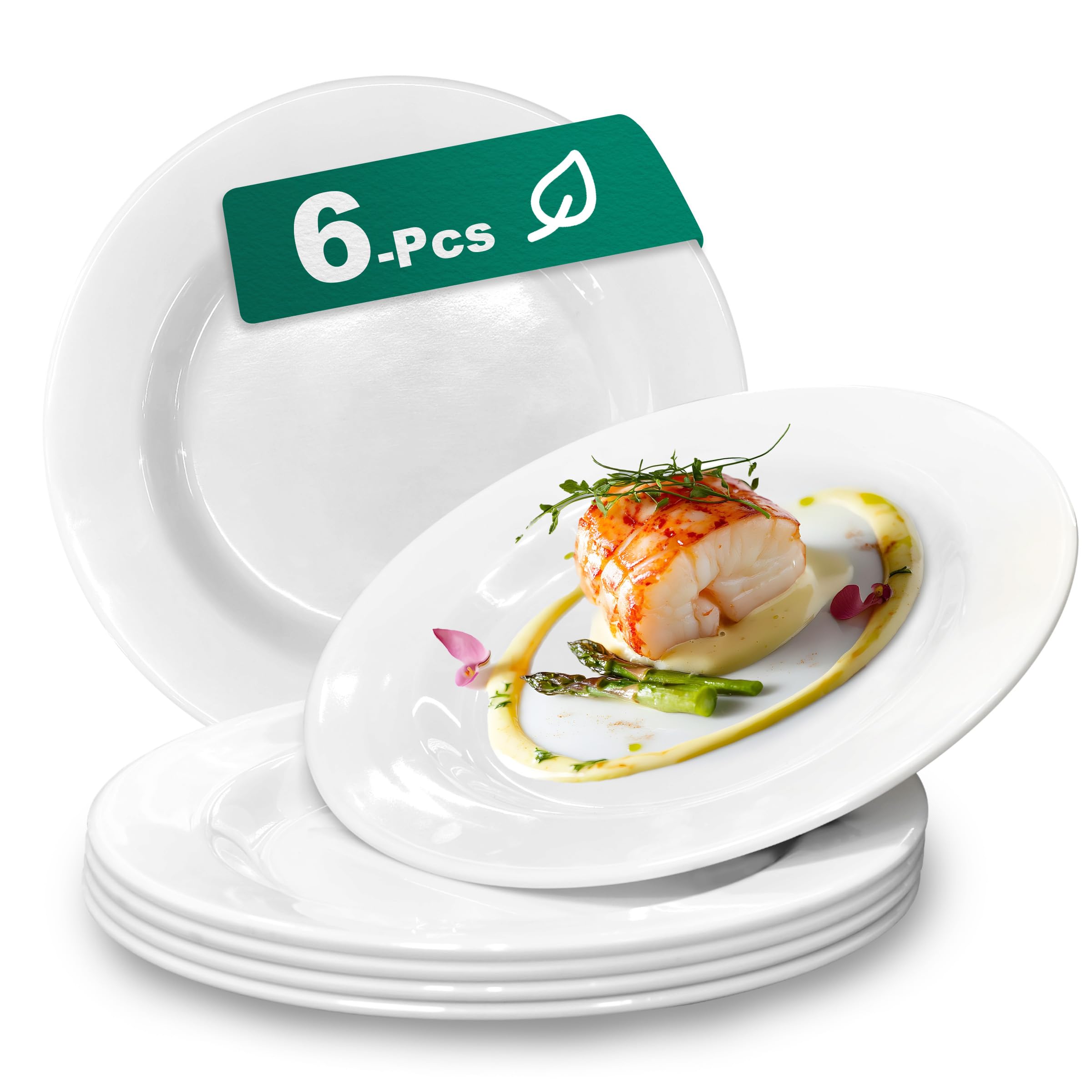 mangmong 10.5 Inch Plate Set