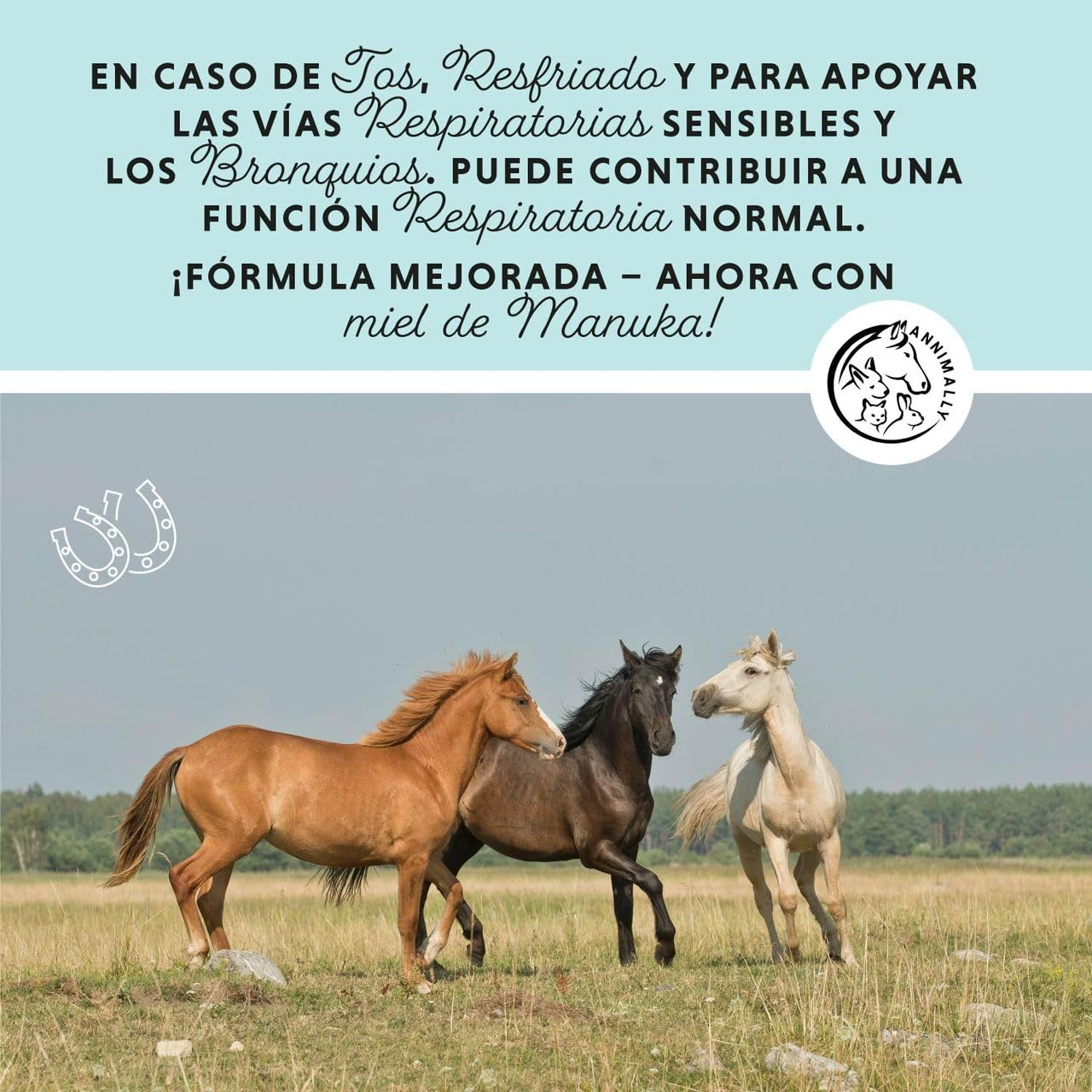 Annimally Jarabe para la Tos para Caballos 1000ml - Jarabe bronquial para Caballos contra la Tos y para calmar Las vías respiratorias - Jarabe para la Garganta - Cosas para Caballos