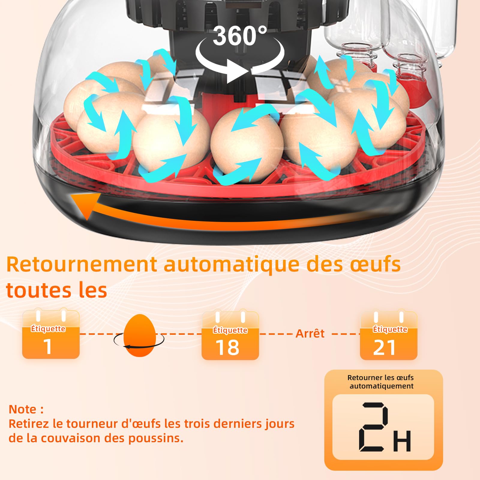 Couveuse Oeuf Automatique, Incubateur Automatique 12 Oeufs, avec Système de Retournement Automatique et Contrôle de la Température,Affichage de l'humidité, pour Éclosion d'Œufs de Poule Canard Caille