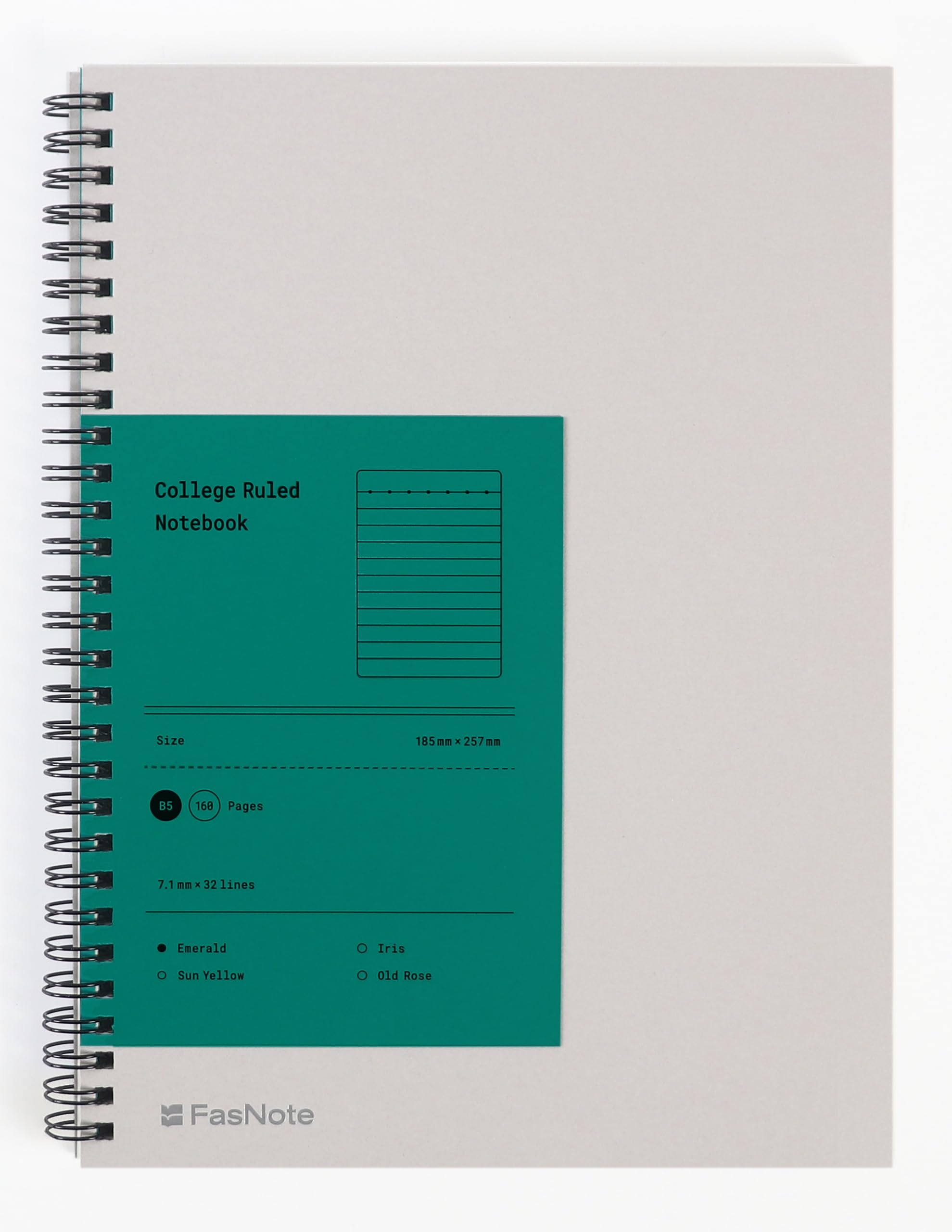 Quaderno a spirale a righe, 160 pagine, carta da 100 g/m², a righe universitarie, per ufficio e scuola a casa (smeraldo)