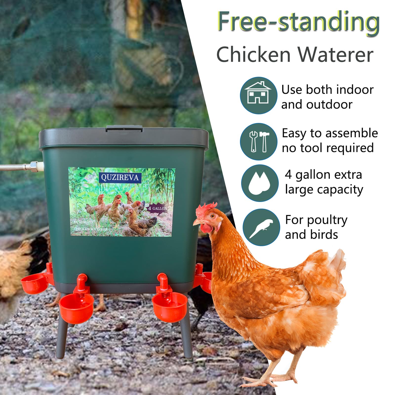 Alimentador automático de agua para aves de corral con flotador, autollenado, 4 galones, dispensador de fuente de agua para pollo, sistema de riego automático de pollo, paloma y pájaro con manguera y