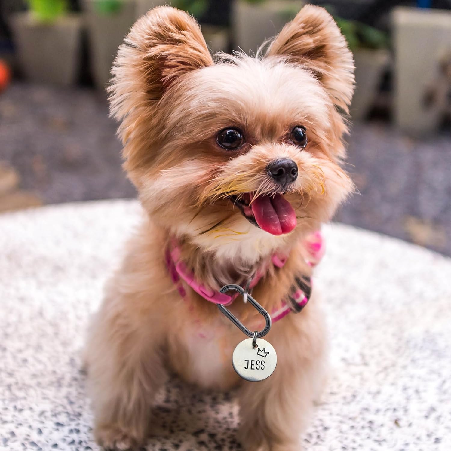 Oval Spring Ring Clips, Metal Keyring Purse Clip, Heavy Duty Opening O Ring Carabiner for Keychains,Backpacks, Keys - Image 7