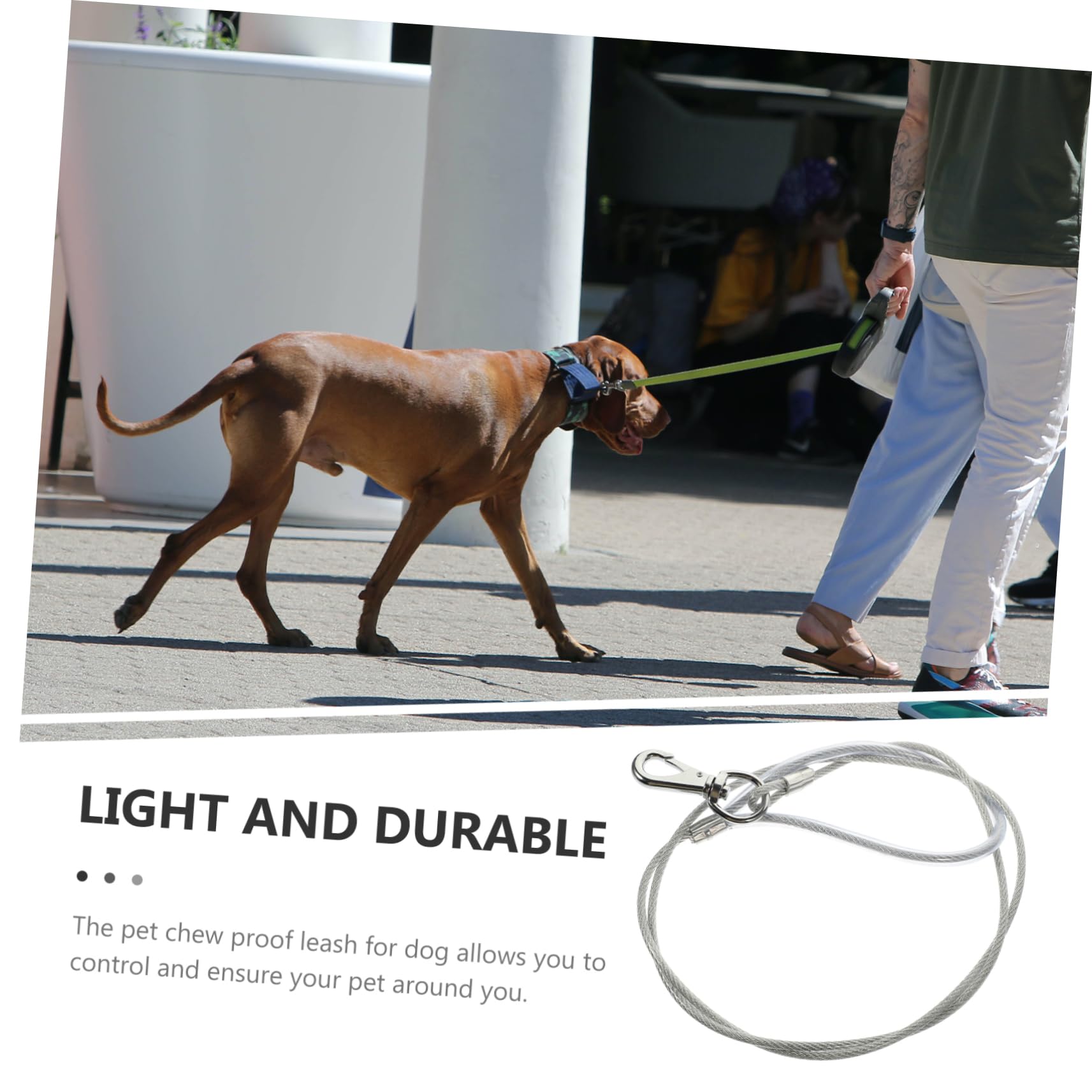 SUPVOX 4 Pezzi Guinzaglio Per Cani Lunghezza Cucciolo Corda Di Trazione Filo Da Masticare Catena Per Cani Forniture Per