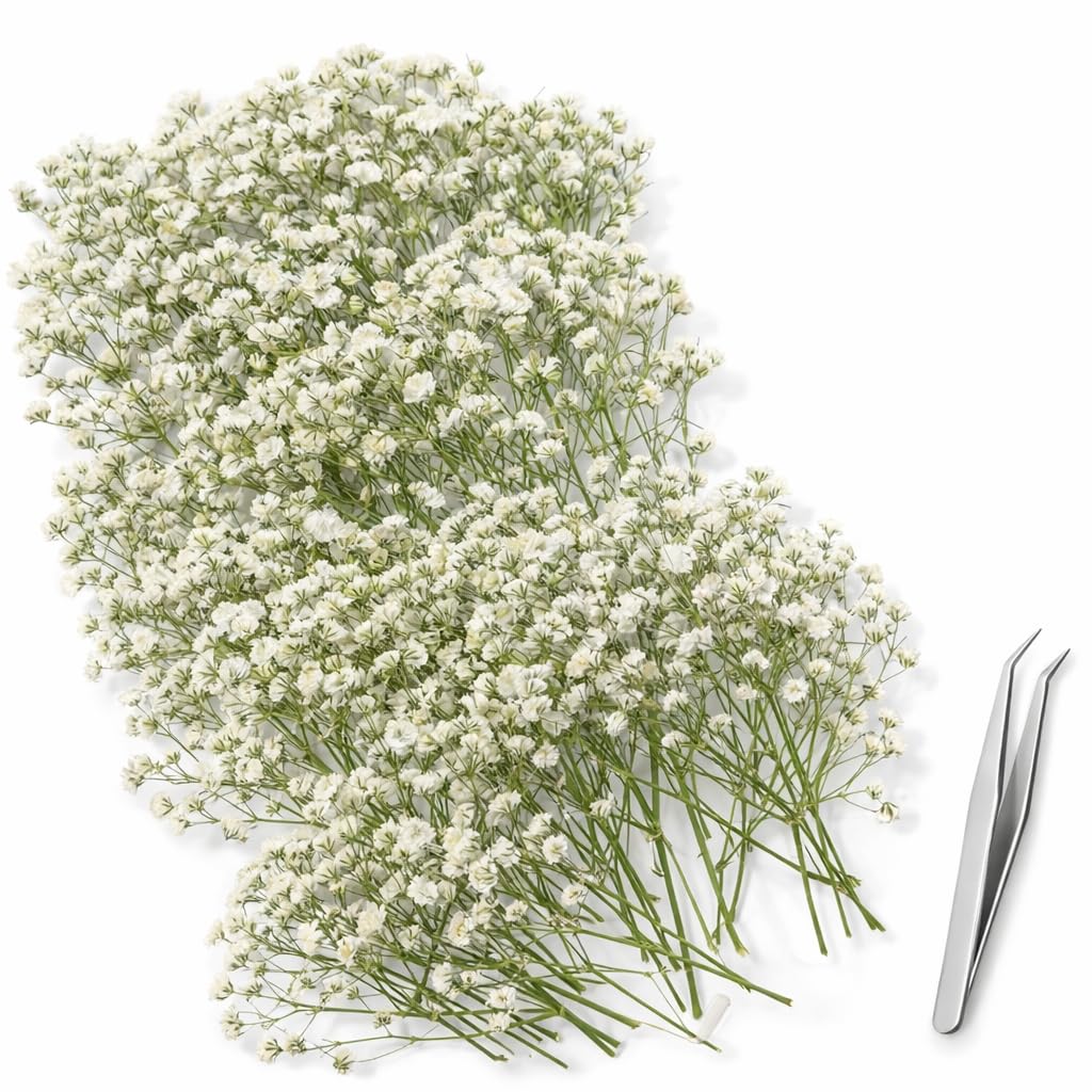 130 Pcs Dried Pressed Baby Breath Flowers Artificial with Tweezer, Real Nature Gypsophila Dried Flowers for Resin Art Crafts DIY Card Making Wedding Card Cakes (White)