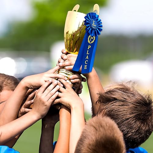 Miniatura 6 de Lewtemi 3 paquetes de cintas de roseta con el premio de cinta azul del primer lugar, ganador del premio de la victoria Premio de reconocimiento de
