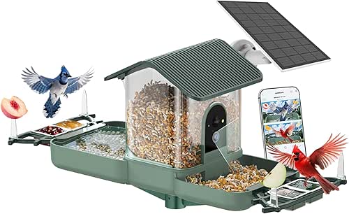 Dual-Lens Bird Feeder with Camera & Bird Bath Combo, Watch