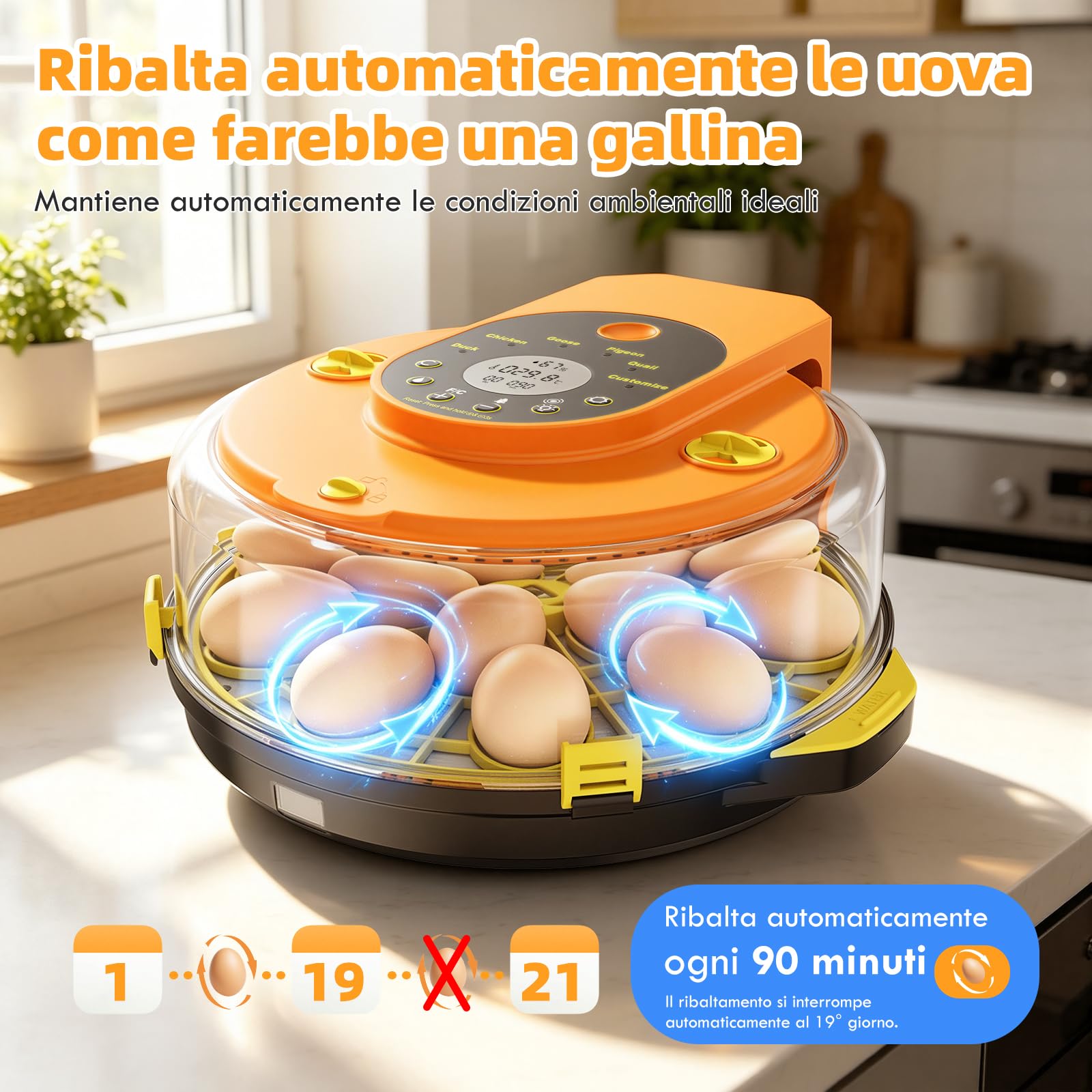 Incubatrice per Uova Automatica 15 Uova, Incubatrice Digitale con 5 Modalità, Girauova Automatico, Controllo Temperatura e Umidità, Sperauova Integrato per Uova di Gallina, Quaglia e Anatra