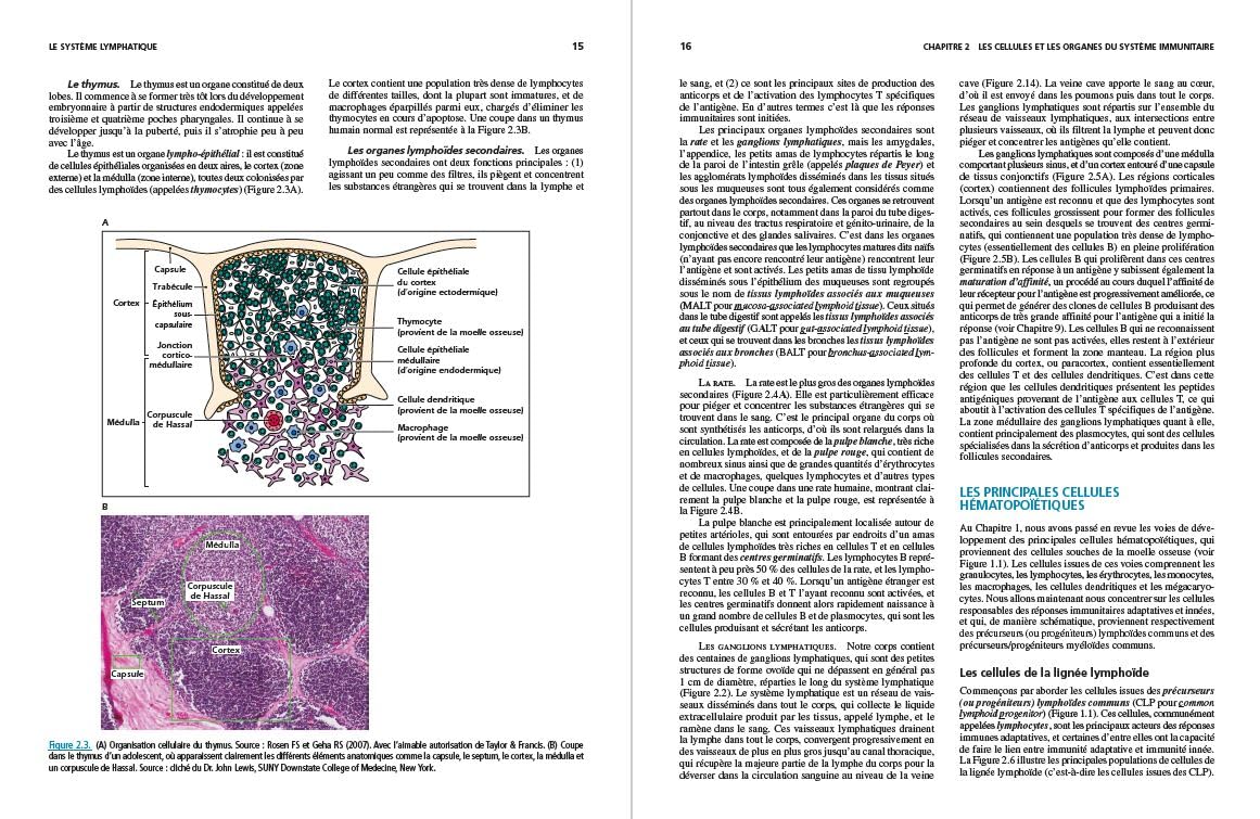 Immunologie