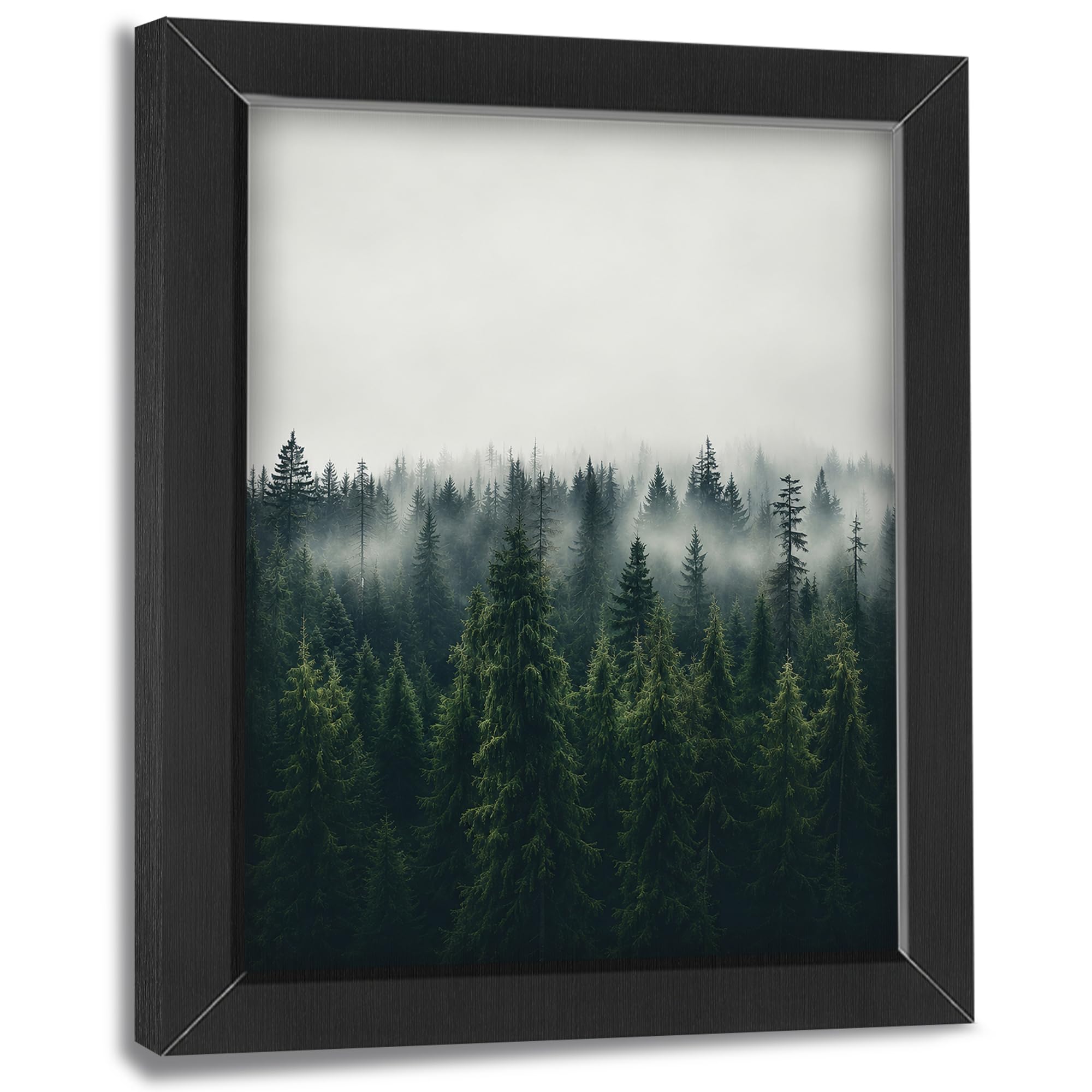 Jerkboo Wall Art Framed 66 Misty Pine Forest Decor Wall Art, Foggy Evergreen Trees Picture 12"X16"