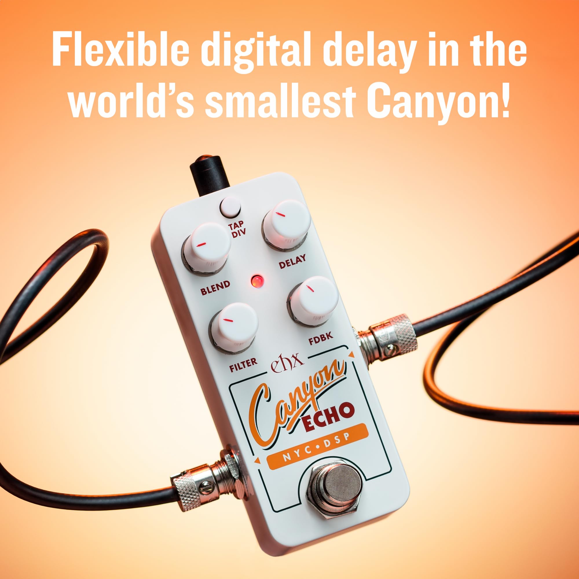 ギター Electro Harmonix Pico Canyon echo Amazon.com: Electro-Harmonix Pico Canyon Echo Delay Pedal