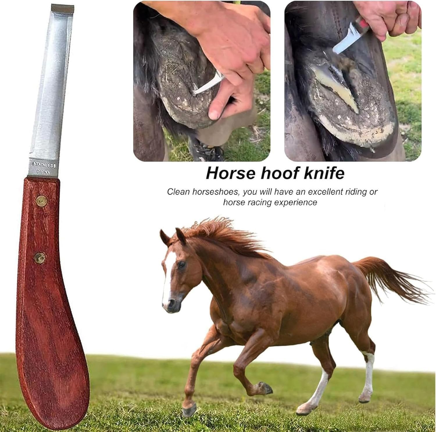 9-teiliges Hufschmied-Werkzeugset for Pferde, Hufschneide-Set, inklusive Hufeisenschneidezange, Hufmesser mit rechtem Griff, Hufhammer, Pflegewerkzeuge for Rinder, Schafe, Pferde, Esel.