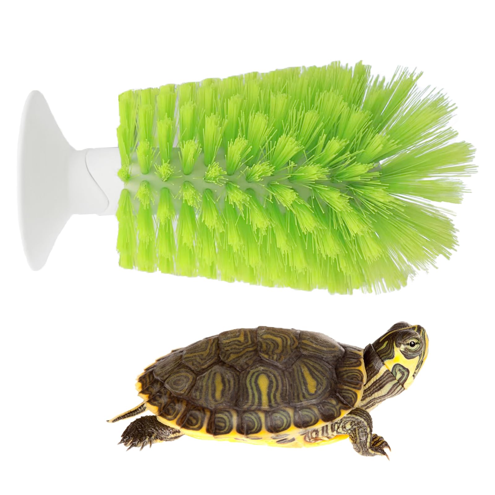 Turtle Brush, Turtle Scrub Brush Turtle Exfoliate Brush with Suction Cup Turtle Shell Clean Brush Tortoises Back Scratches Brush for Remove Turtle Shell Scutes Mud Dirt