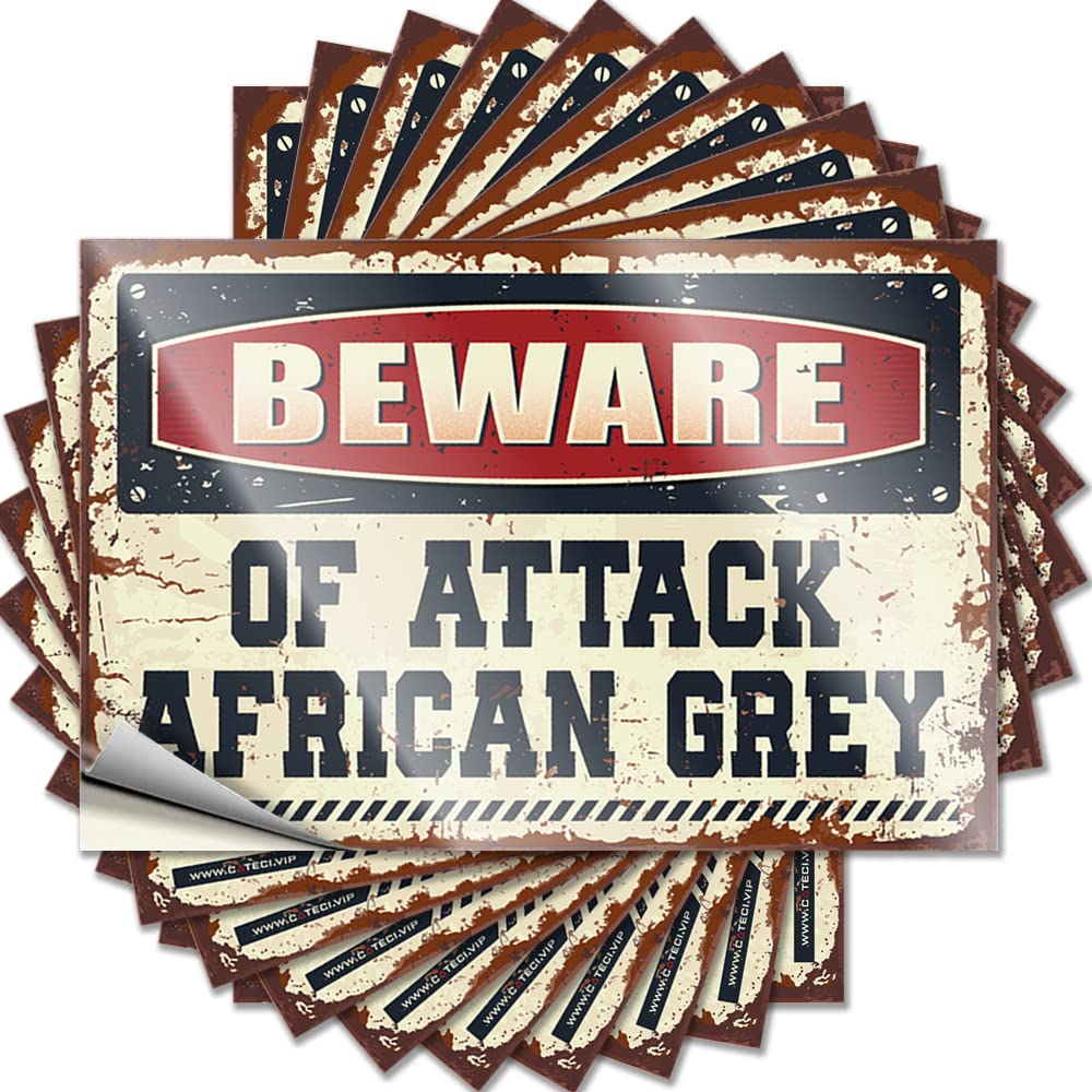 Fzfn Colour Decal Funny Bar Decor Custom Stickers, Hat Waterproof Beware Of Attack African Grey For Hydro Flask | Feminist Vinyl Decals For Winter Holiday Gift(8X12cm)