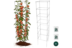 Square Tomato Cage: Expanding Haven for Verdant Vines