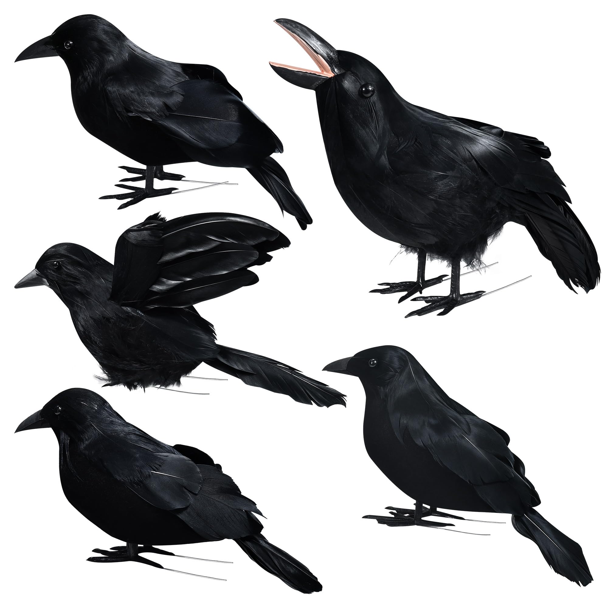 5 Pack Halloween Artificial Crows, Spooky Black Feathered Crow Decorations, Realistic Crow Raven Birds Decorations, Animal Ornament for Halloween Party Prop Home Garden Indoor Outdoor Decoration Model