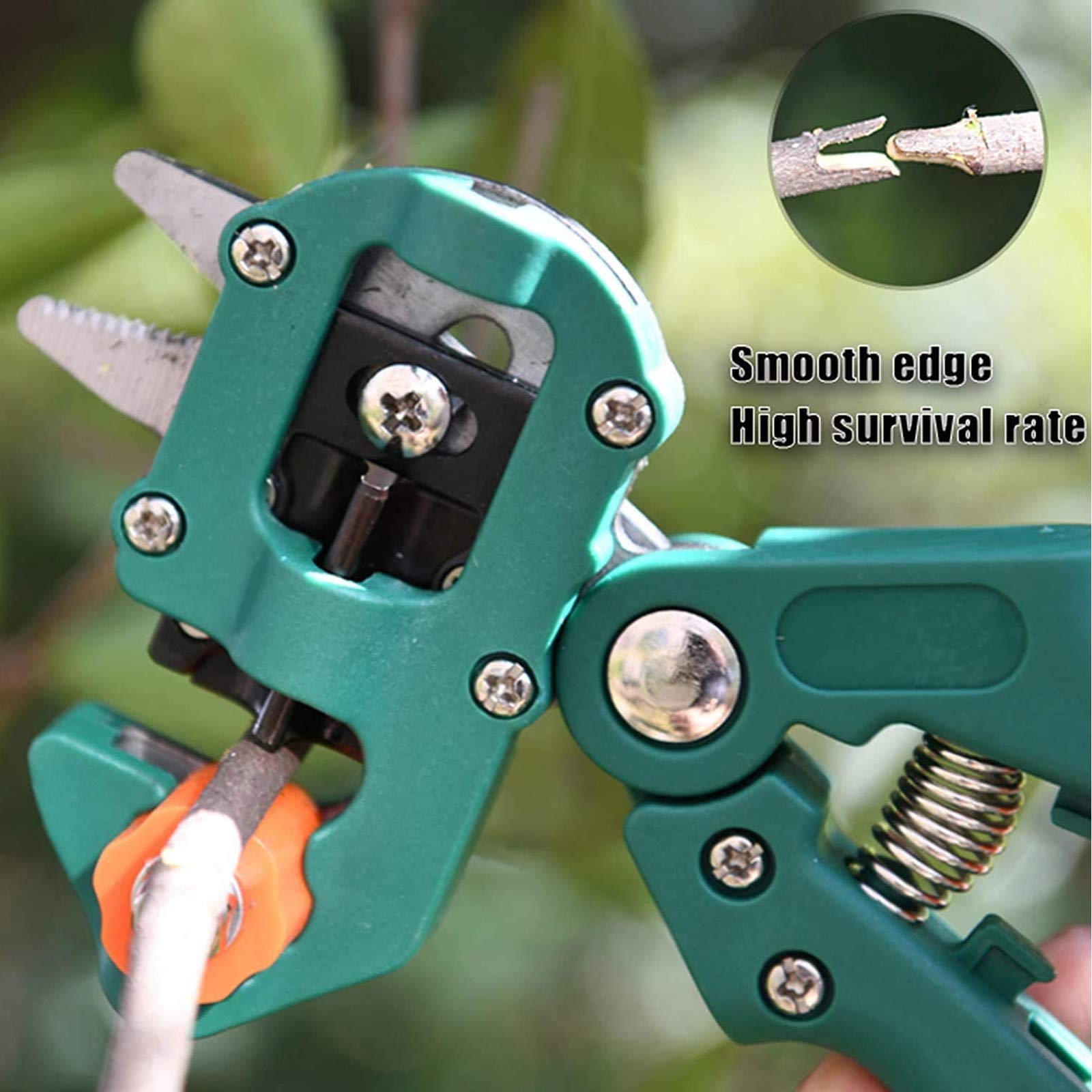 Kit di Utensili per innesto, Perfetto per Il Taglio e l'innesto di Alberi da frutto. Nastro per innesto e Lame di Ricambio in Omaggio. Kit Professionale per la
