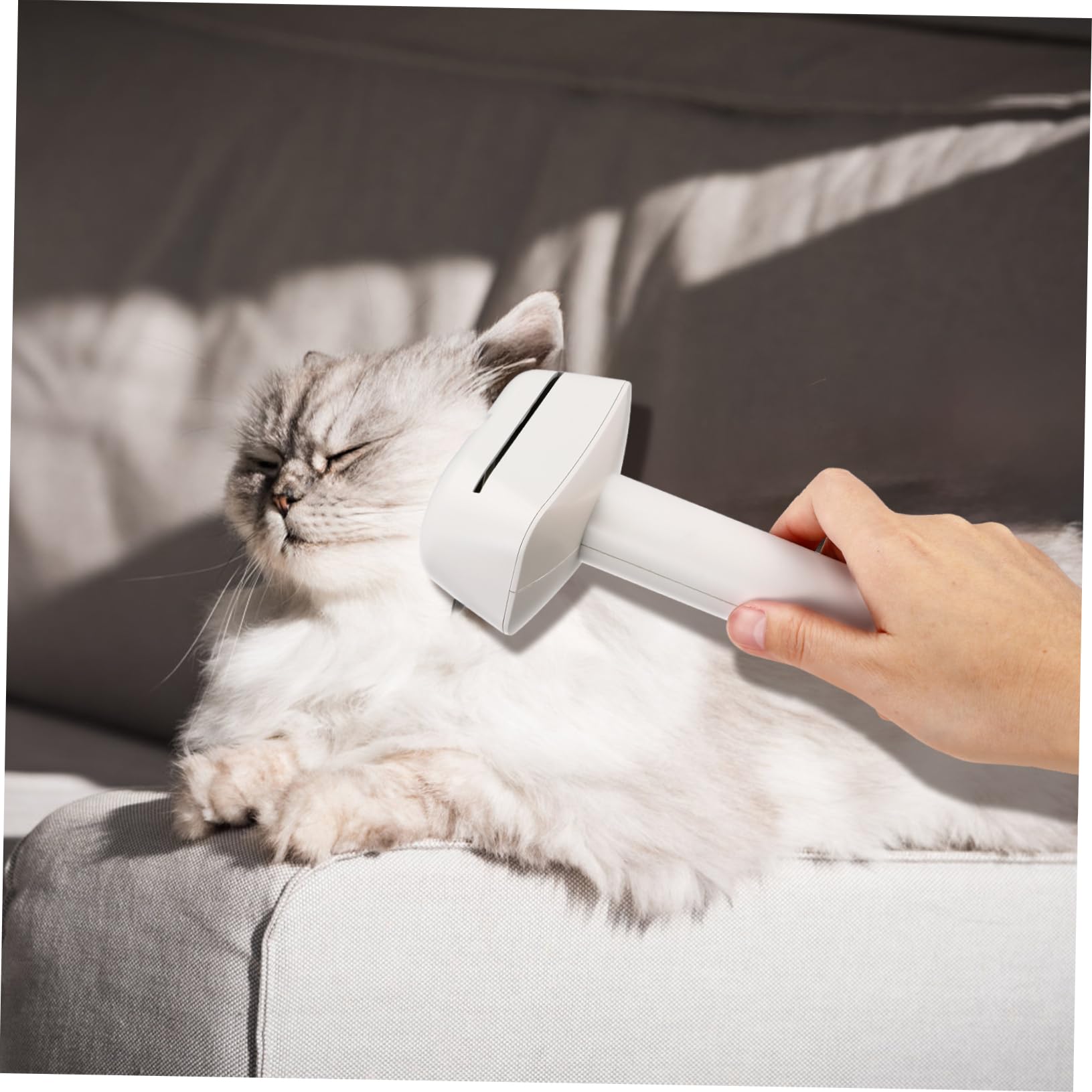 Abaodam 2pezzi Spazzola Rimuovi Peli Animali per Gatti Cani Pettine Districante Testine Multiple per Toelettatura Casa Viaggio