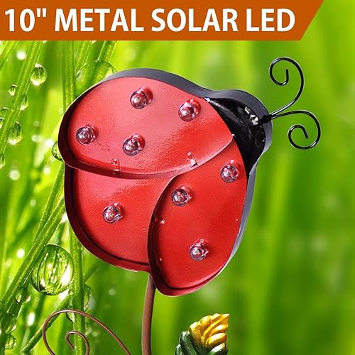 Ladybug Garden Amazon Com