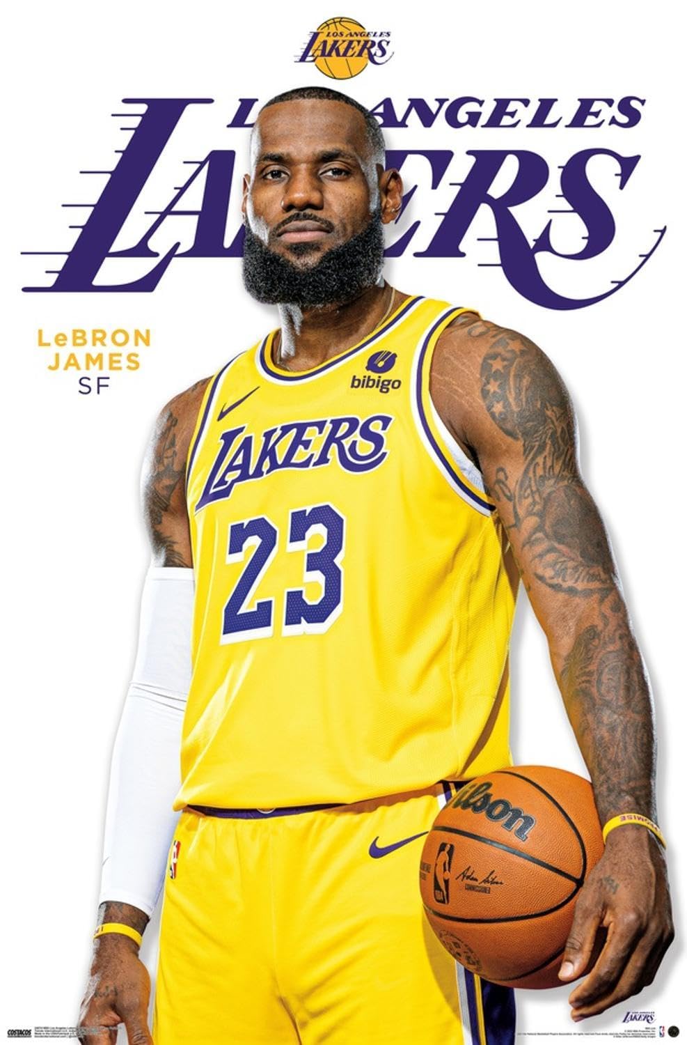 Amazon.com: NBA Los Angeles Lakers - LeBron James Feature Series
