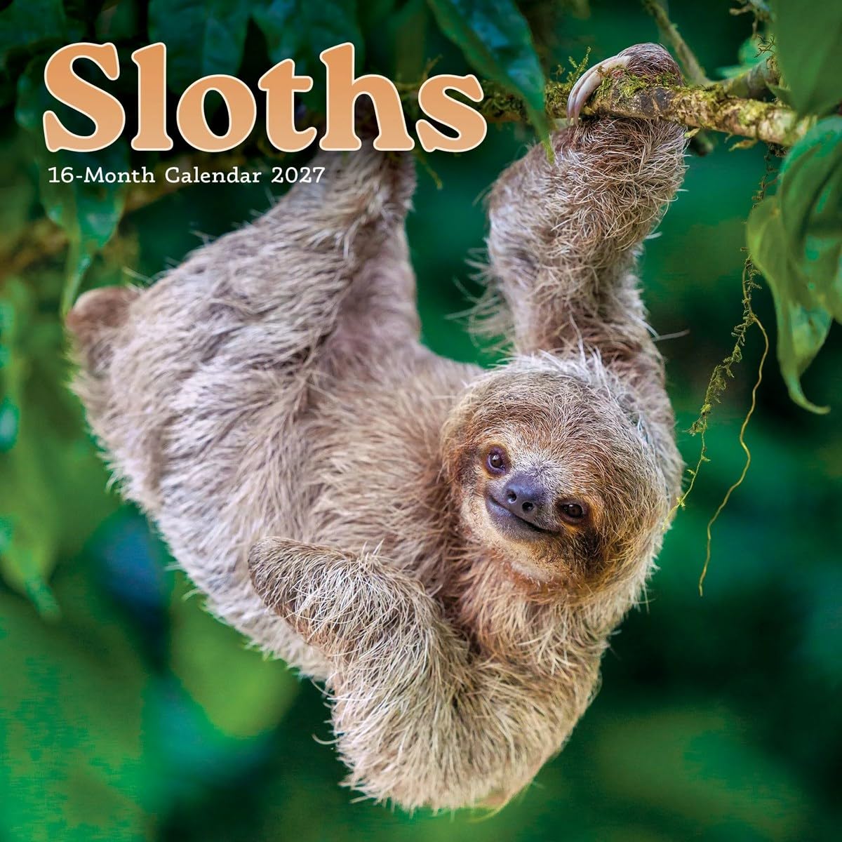 Carousel Worldwide White Sloths 2027 Mini Wall Calendar, 12-Month Calendar, Cute Sloth Photography