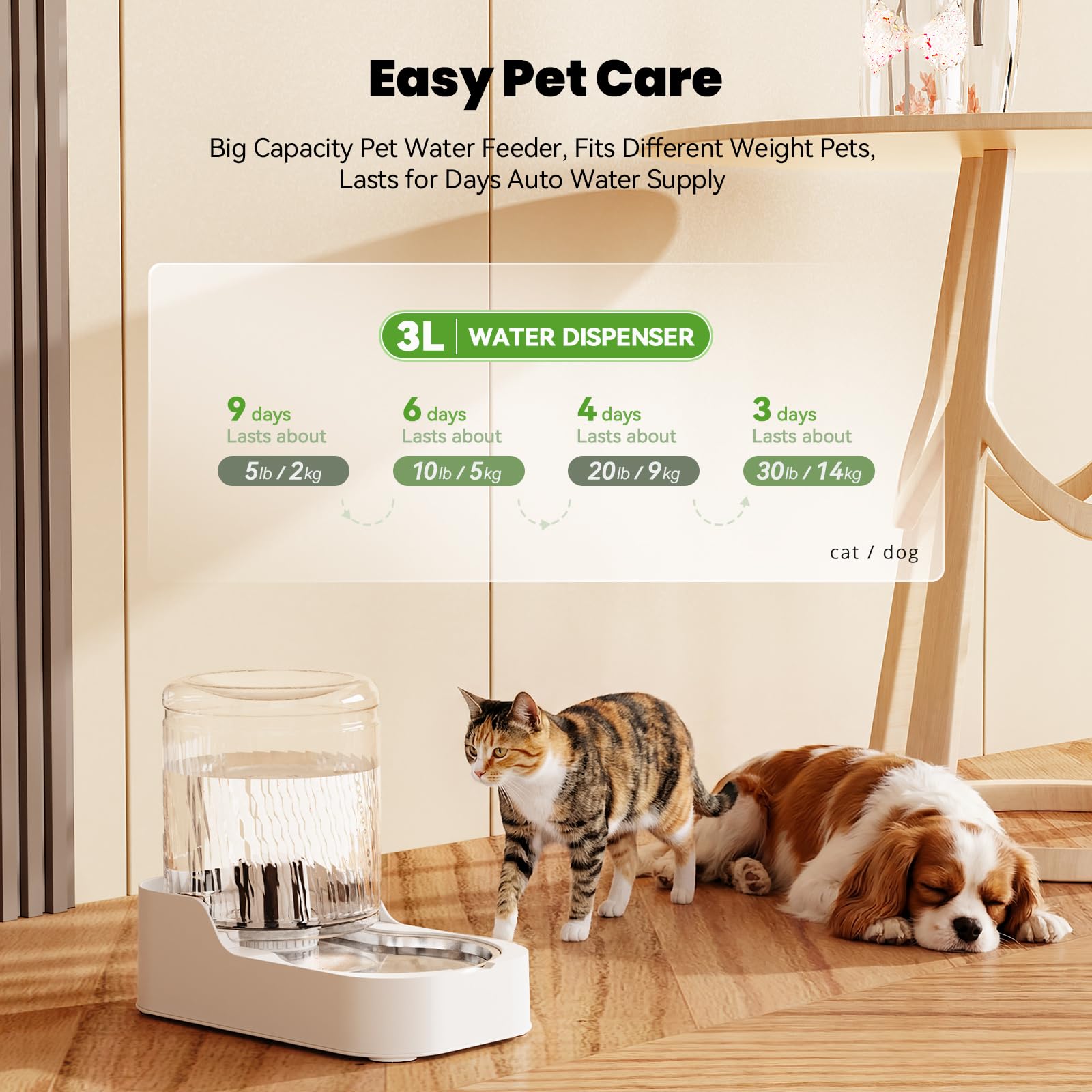 JUNSPOW Distributore automatico di acqua per gatti con ciotola in acciaio inossidabile, dispenser di acqua per cani e gatti regolabili