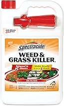 Spectracide Weed & Grass Killer, Use On Driveways, Walkways and Around Trees and Flower Beds, 1 Gallon (RTU Spray)
