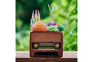 Succulent Pot Planter with Music and Style
