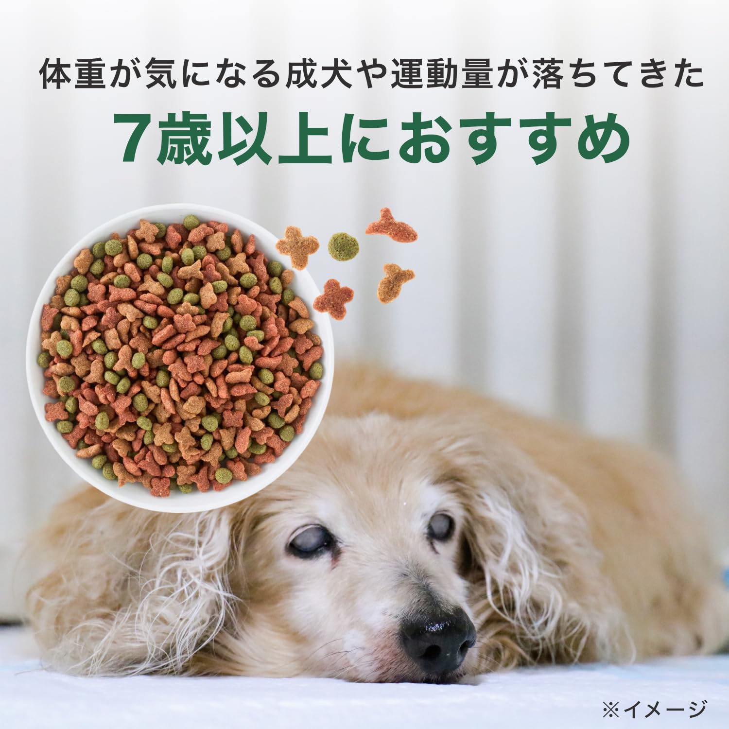 Amazon.co.jp: カインズ(CAINZ) ドッグミール ミックス 7歳以上 低脂肪