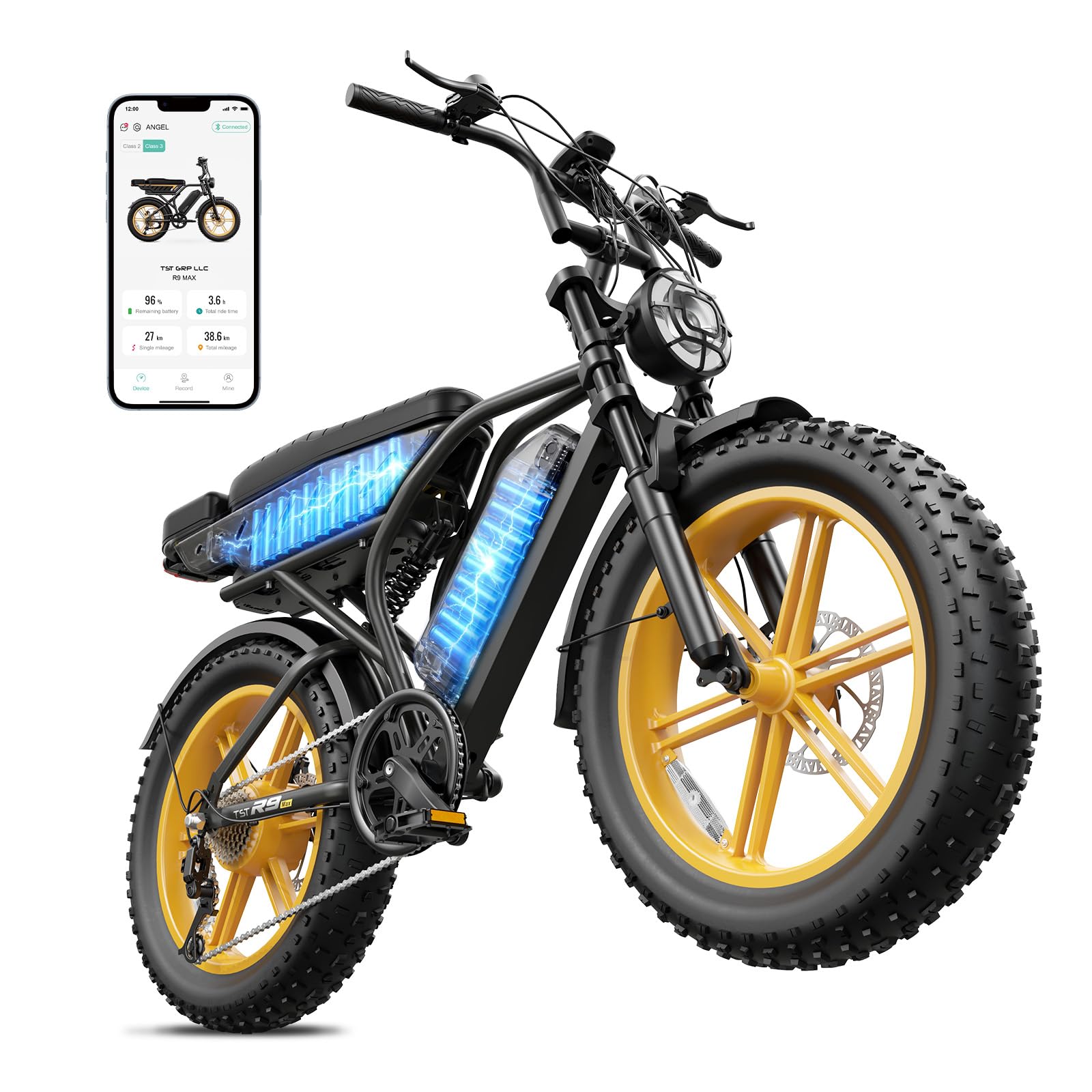 TST Electric Bike for Urban Cycling with dual removable battery