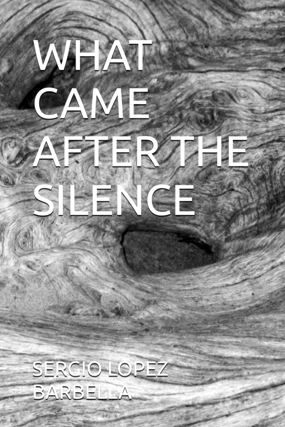 WHAT CAME AFTER THE SILENCE: FOUR WOMEN, FOUR WOUNDS, ONE SINGLE RECONSTRUCTION