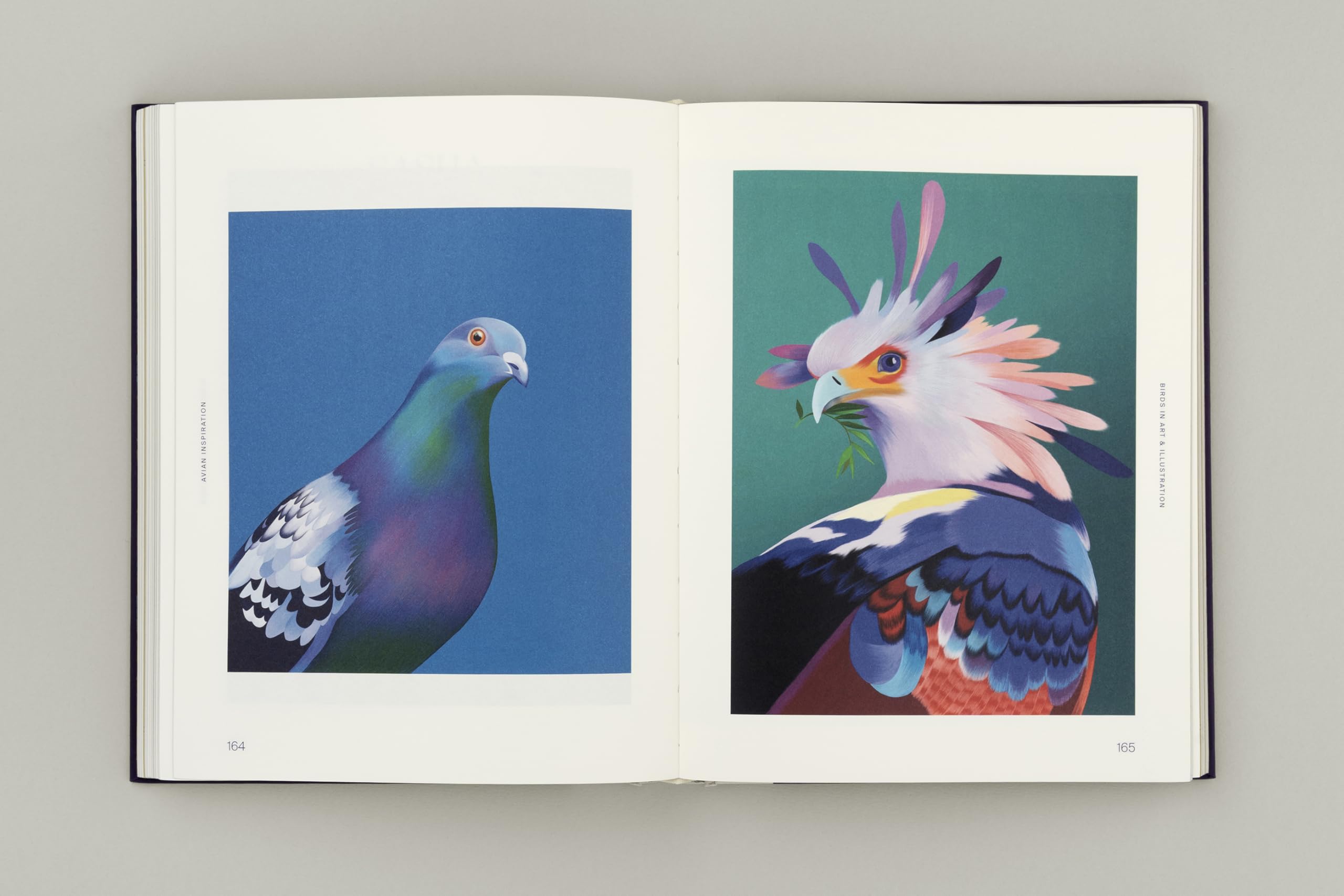 Avian Inspiration: Art and Design Inspired by Birds