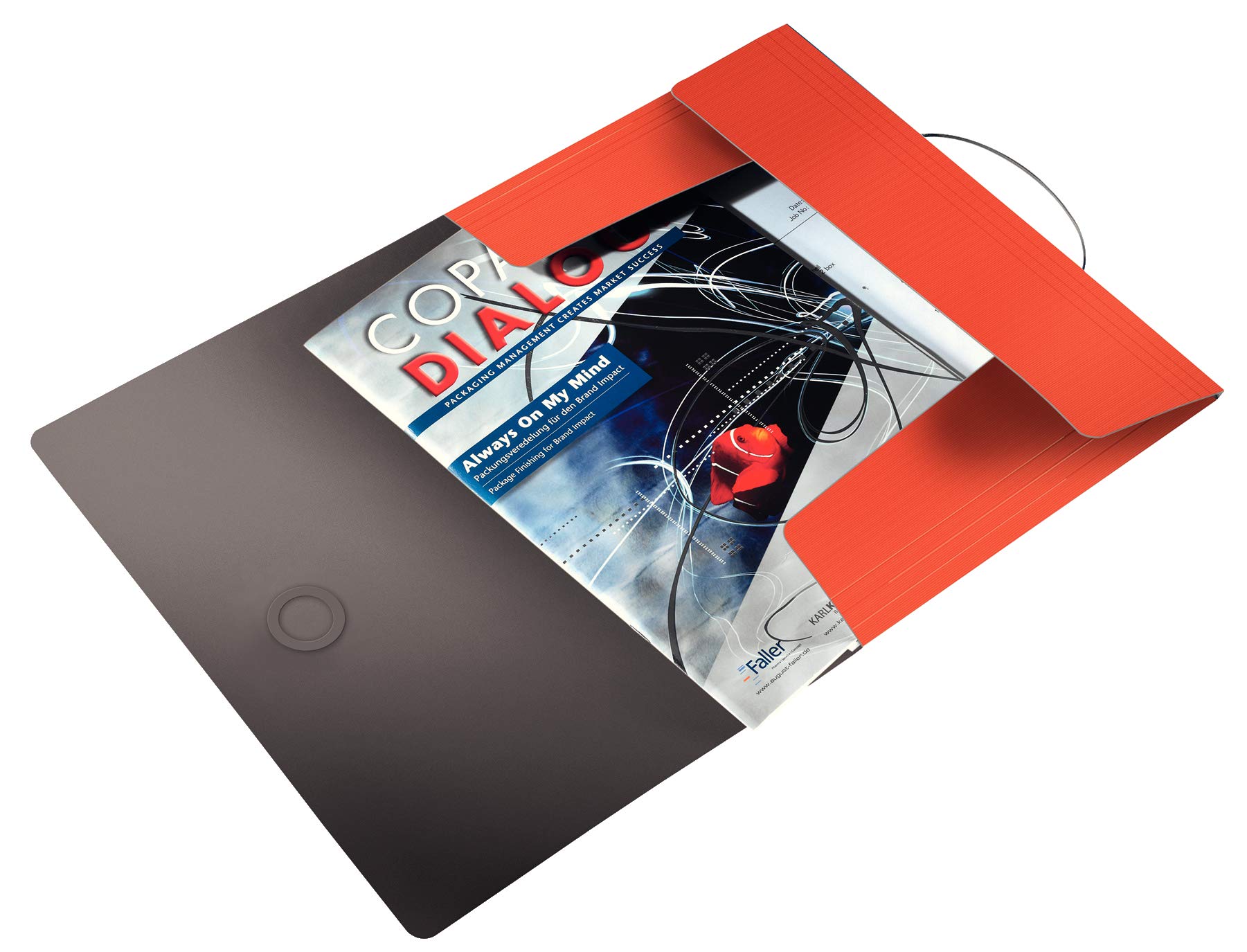 Cartella Organizer Leitz A4 A 3 Lembi | Per 150 Fogli, Chiusura A Elastico | Bianco, Design Solido E Pratico