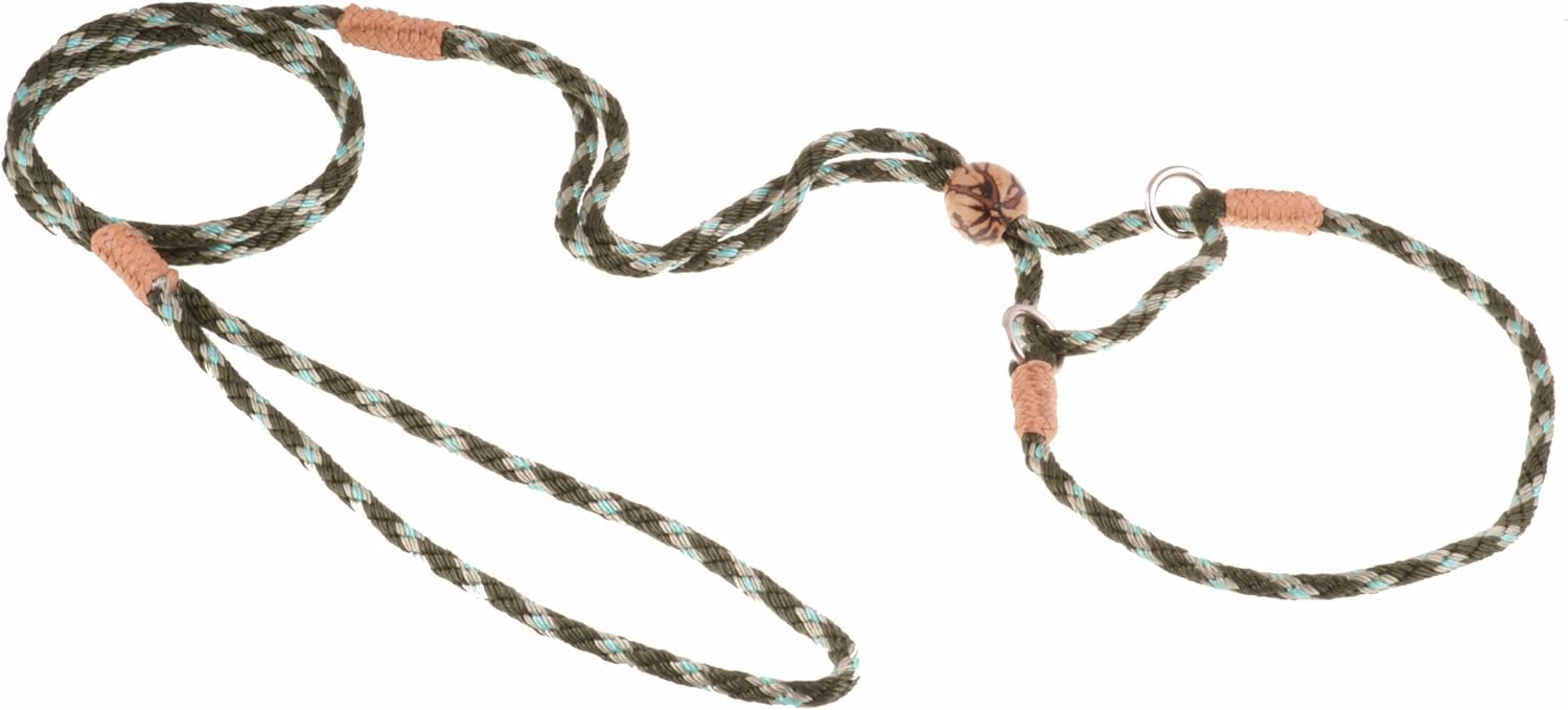 Alvalley Martingale Dog Leash with Collar - Soft, Nylon Leash for Dogs - Comes with Tagua Bead Stopper - Perfect for Small, Medium Dogs - Suitable for Training & Walking