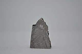 Rocksbury Place 8-12 Grams - Muonionalusta Meteorite