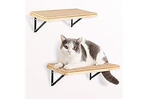 2-Piece Floating Cat Shelves: Indulge Your Feline in Comfort and Adventure
