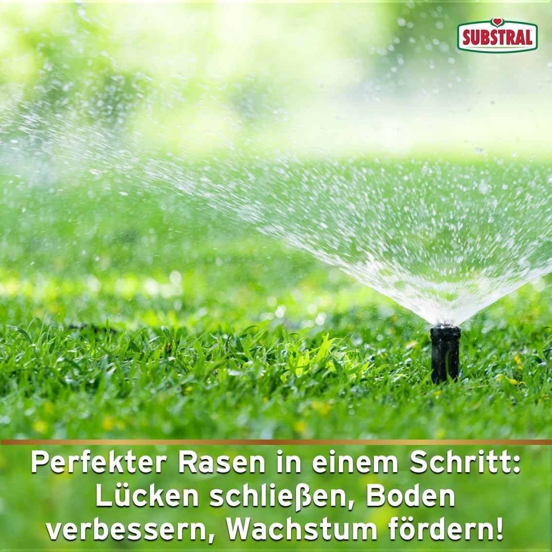 Substral Vertikutiermix 4kg 133m² Rasensamen Rasendünger + Bodenaktivator